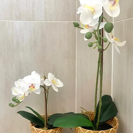 Apartamento 2parkings, 2min Petitevenise-xmarche